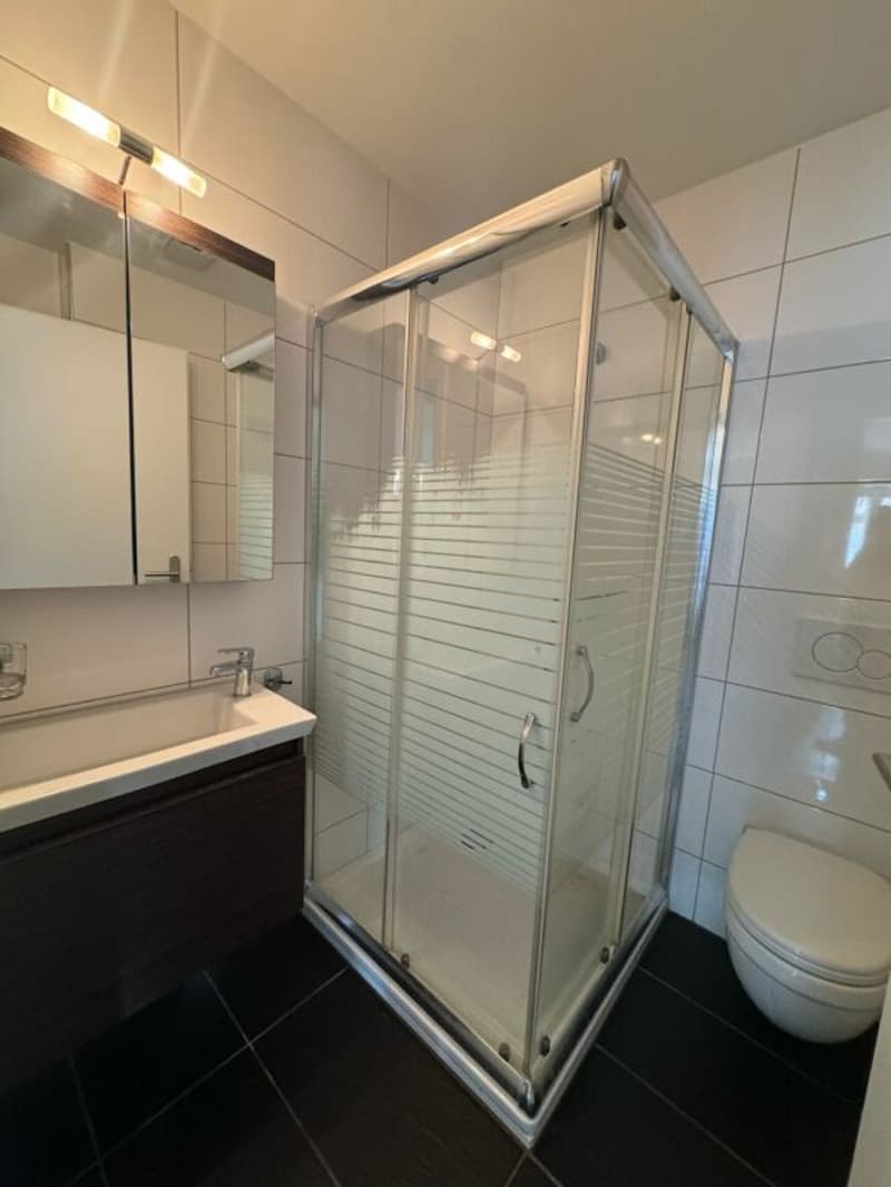 Beautiful, well-maintained 3.5 room apartment now available! (7)