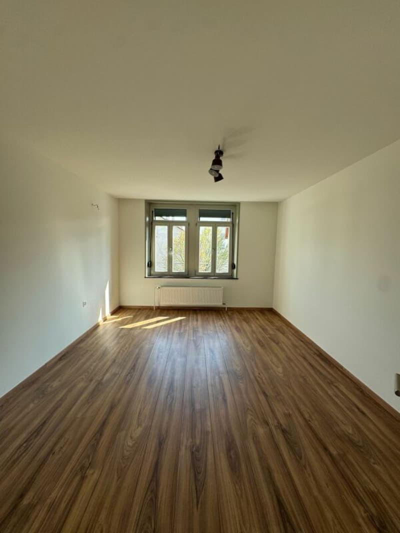 Beautiful, well-maintained 3.5 room apartment now available! (2)