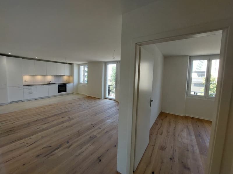 Bright 3.5-room new apartment at Escher Wyss Platz - First rental (1)