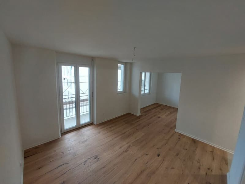 Appartement neuf de 2,5 pièces lumineux près de la place Escher Wyss - Première location (1)