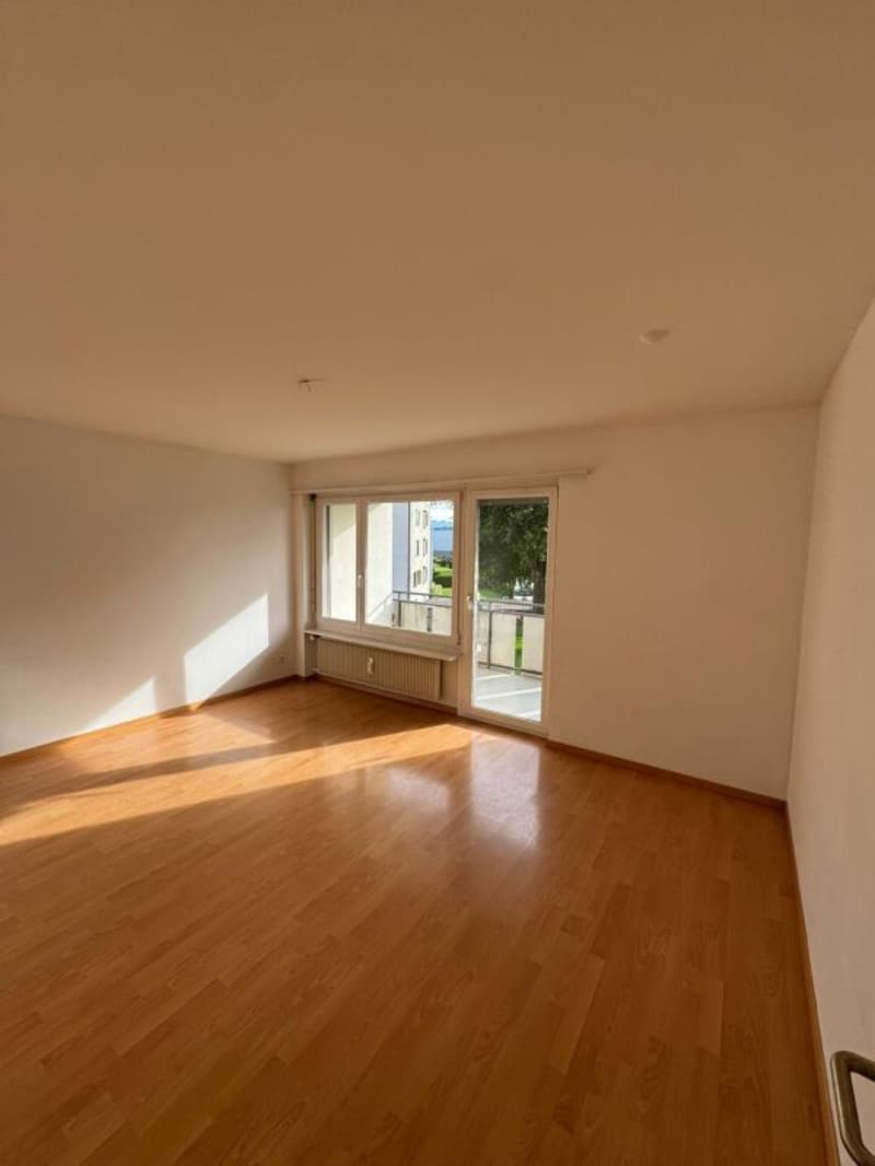 Grand et abordable appartement 3 pièces disponible immédiatement ! (3)