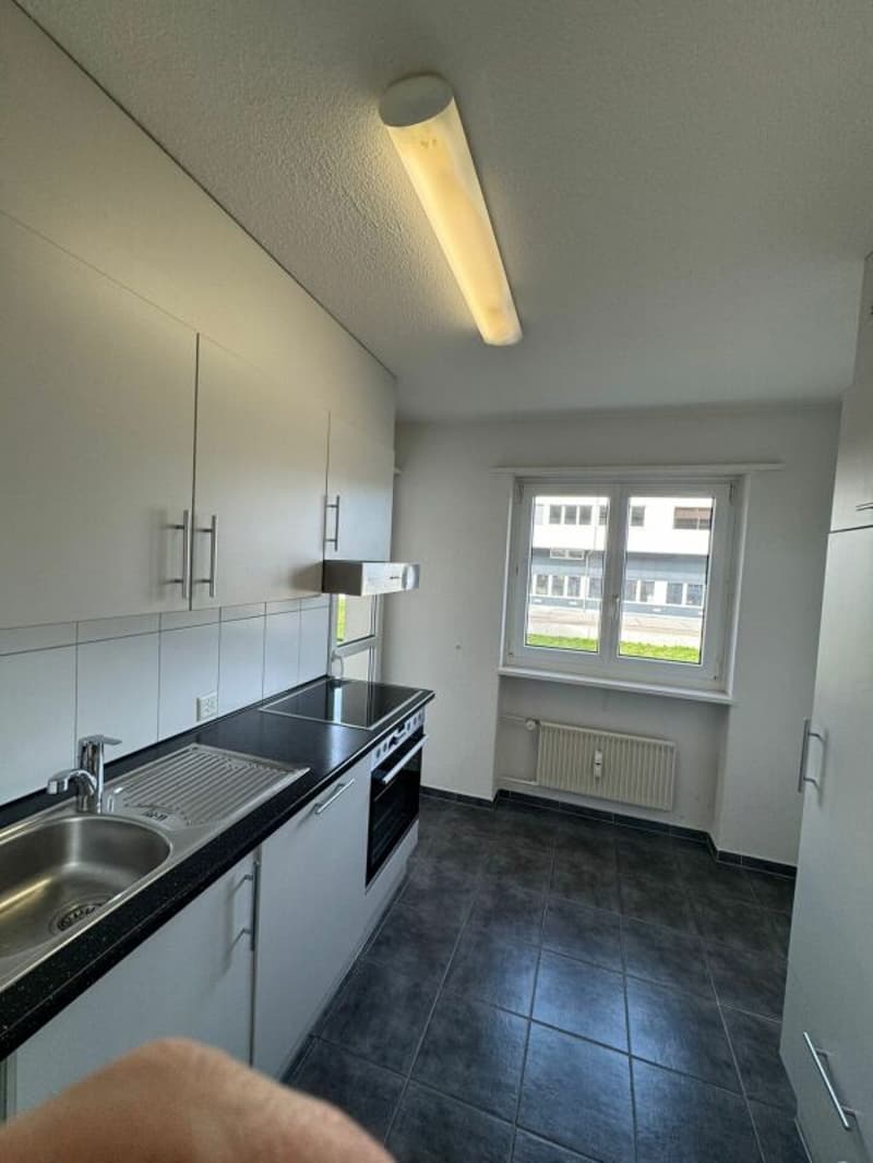 Grand et abordable appartement 3 pièces disponible immédiatement ! (8)
