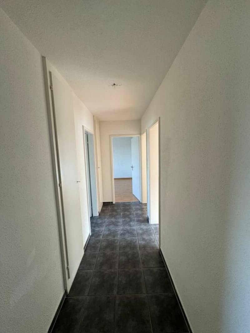 Grand et abordable appartement 3 pièces disponible immédiatement ! (9)