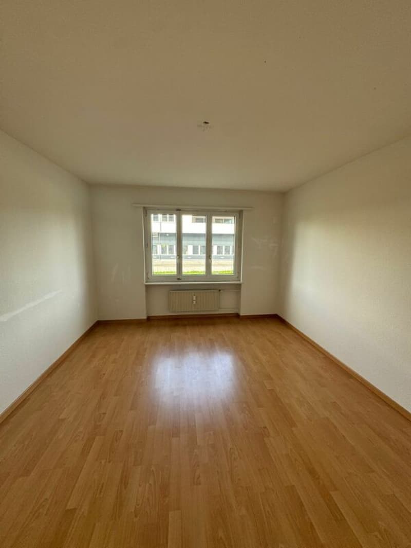 Grand et abordable appartement 3 pièces disponible immédiatement ! (4)