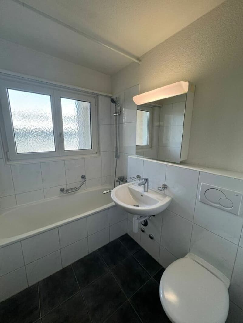 Grand et abordable appartement 3 pièces disponible immédiatement ! (10)