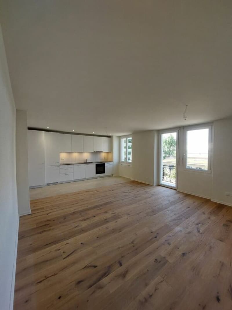 Helle 3.5-Zimmer-Neubauwohnung beim Escher Wyss Platz - Erstvermietung (2)