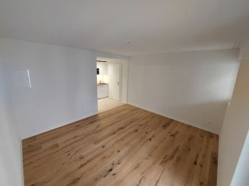 Helle Studio-Neubauwohnung beim Escher Wyss Platz - Erstvermietung (1)