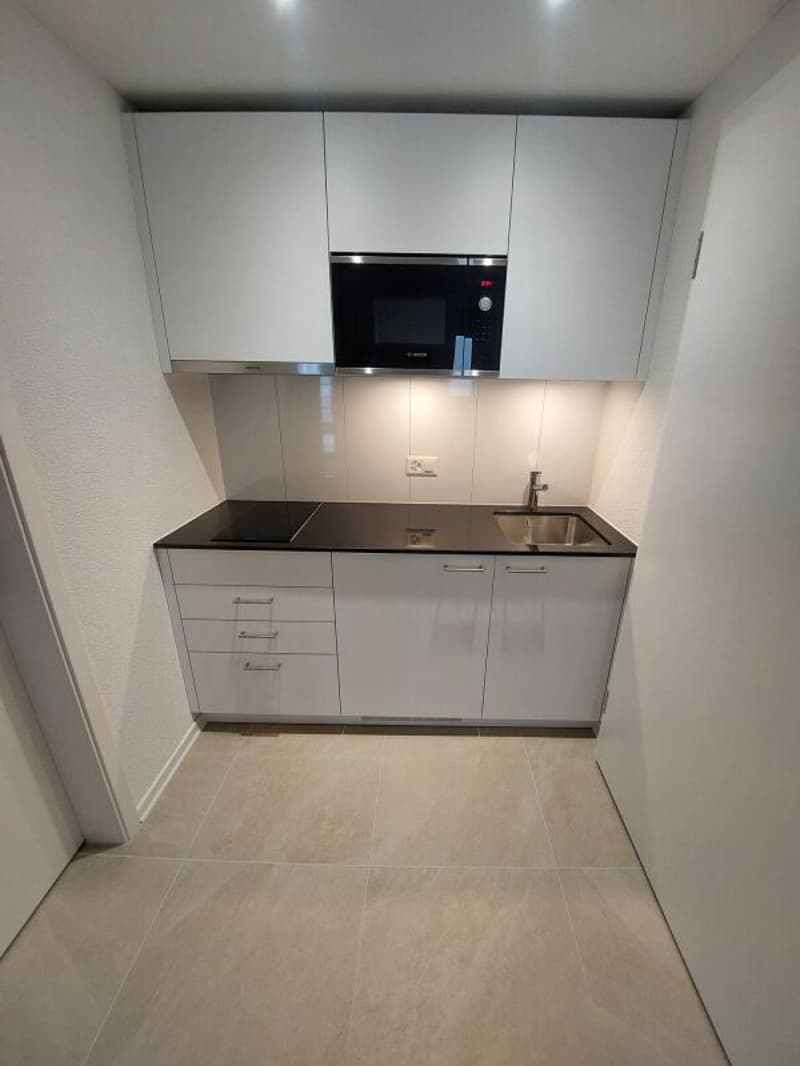 Helle Studio-Neubauwohnung beim Escher Wyss Platz - Erstvermietung (3)