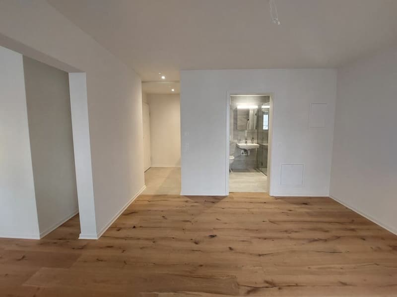 Helle 1.5-Zimmer-Neubauwohnung beim Escher Wyss Platz - Erstvermietung (3)