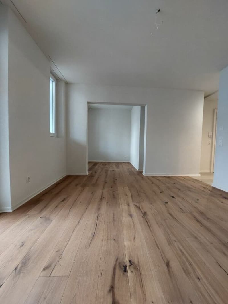 Helle 1.5-Zimmer-Neubauwohnung beim Escher Wyss Platz - Erstvermietung (2)