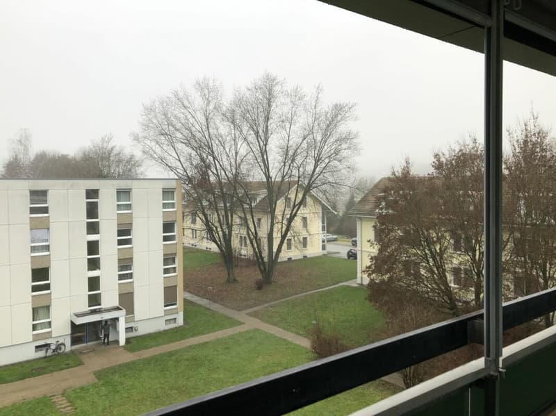4.5 ZWG neuwertig, Abendsonne (7)