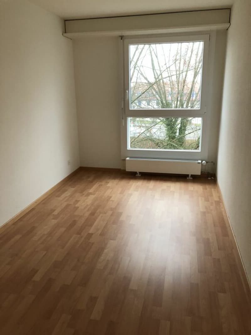 4.5 ZWG neuwertig, Abendsonne (5)