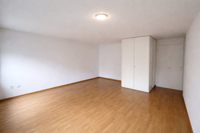 Splendide appartement – à vous bientôt ! PREMIER MOIS GRATUIT ! (4)