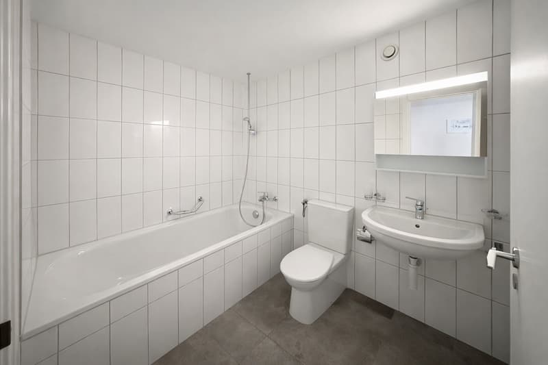 Splendide appartement – à vous bientôt ! PREMIER MOIS GRATUIT ! (3)