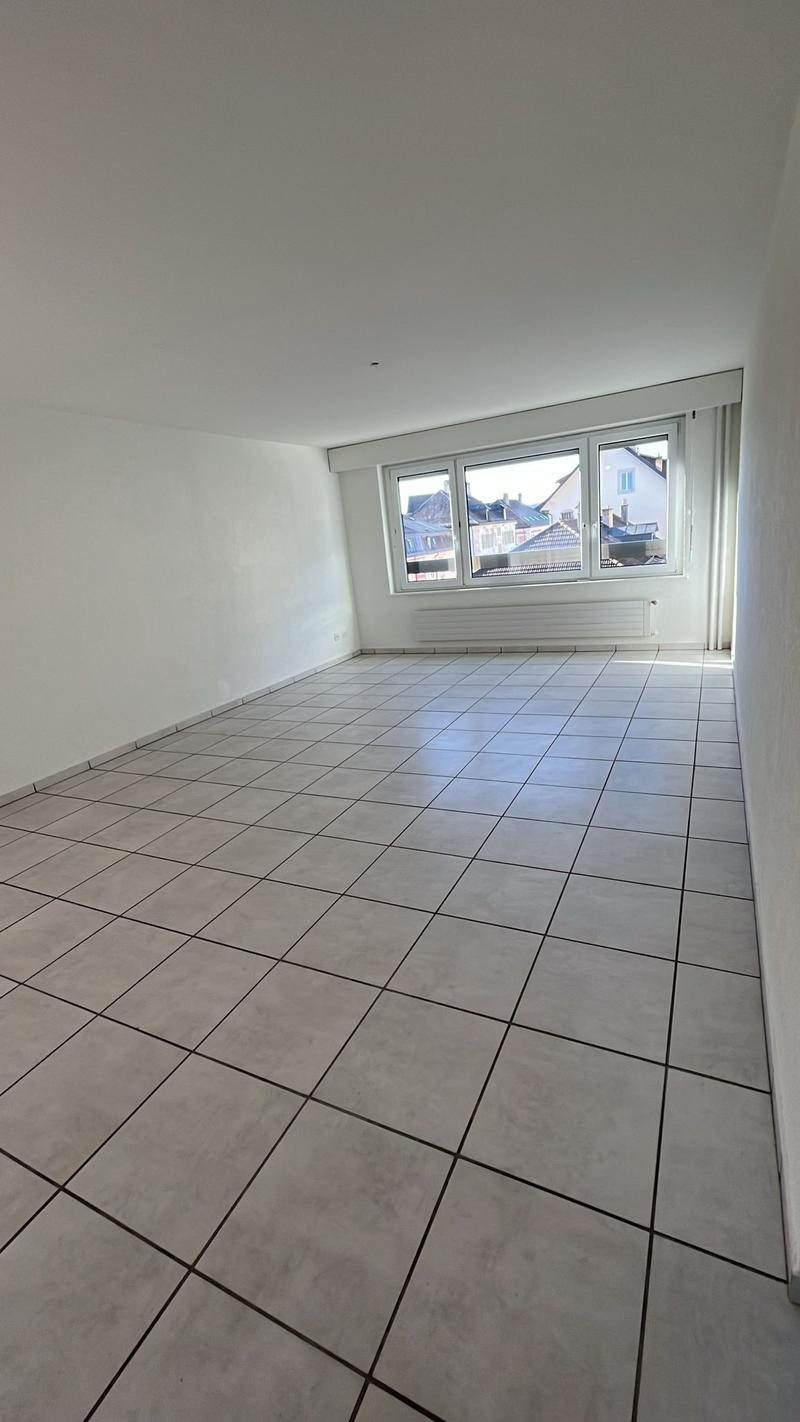 Spacieux -lumineux -IDÉAL POUR VOUS! Premier mois de loyer offert ! (8)