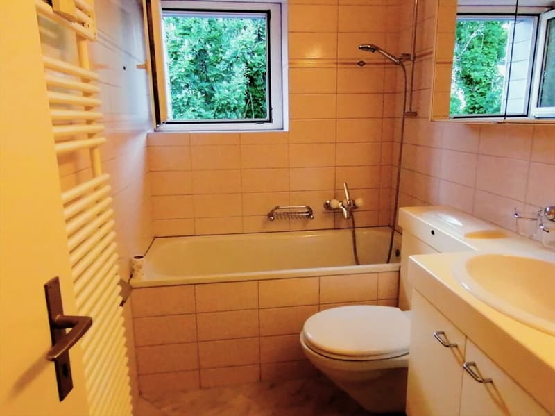 Wohnung mit toller Aussicht im Breitenquatier (11)