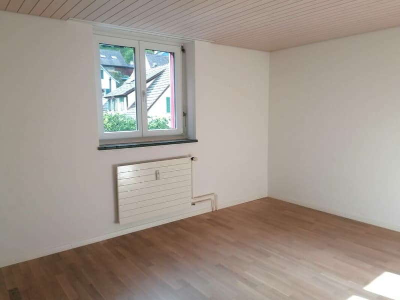 Wohnung mit toller Aussicht im Breitenquatier (9)