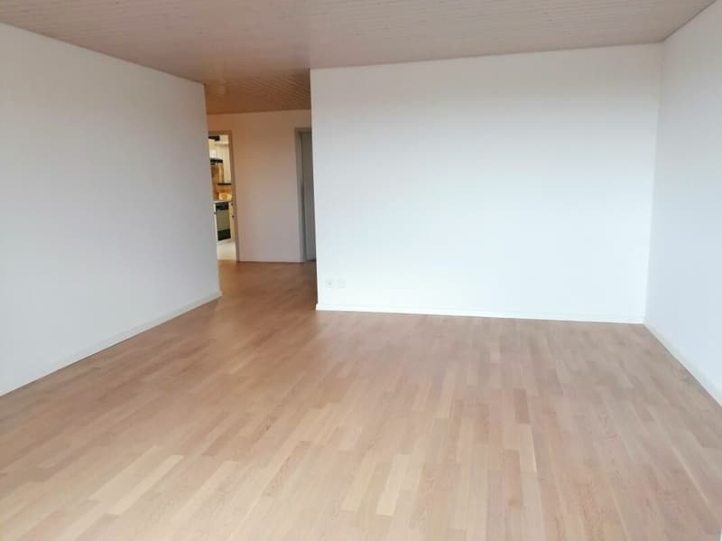 Wohnung mit toller Aussicht im Breitenquatier (4)