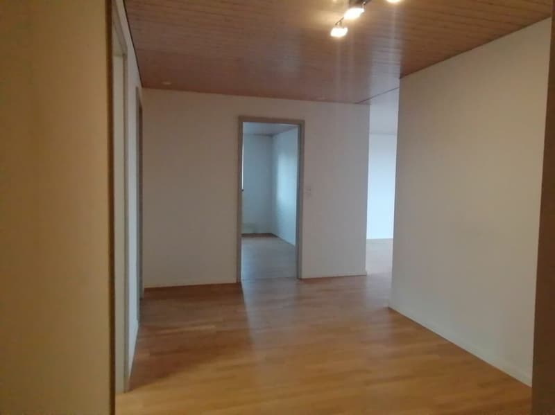 Wohnung mit toller Aussicht im Breitenquatier (6)