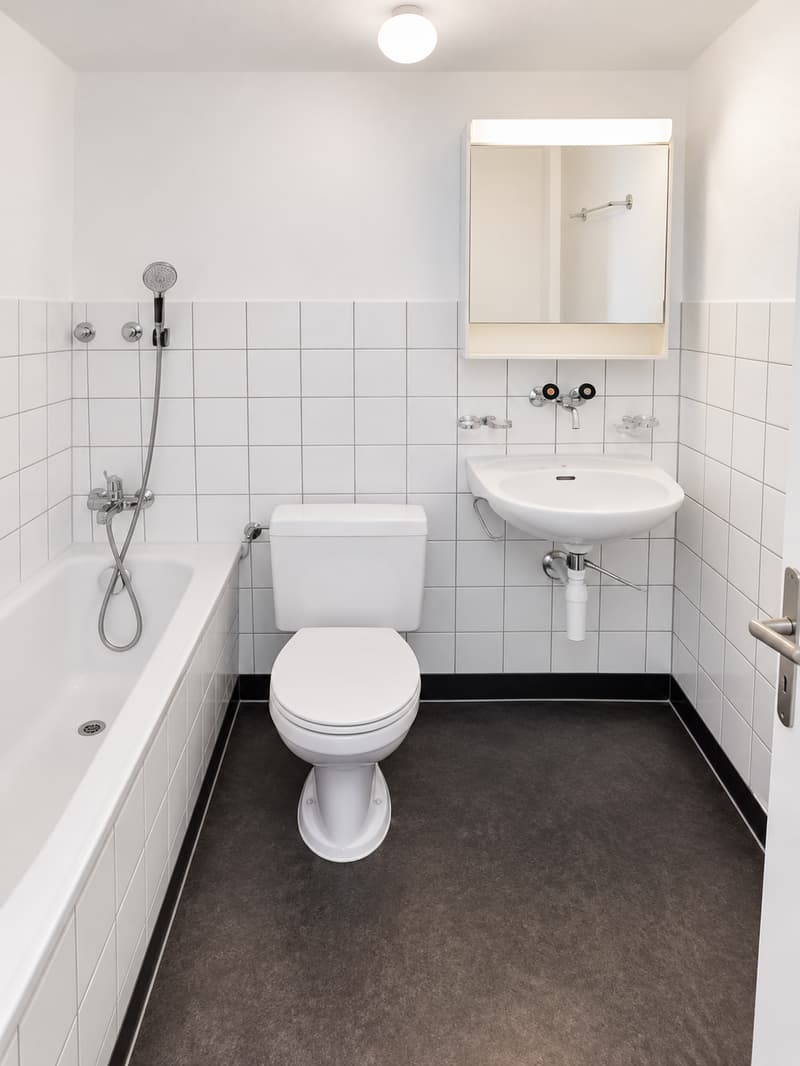 Spacieux appartement de 5 pièces avec balcon et belle vue à Fribourg (2)