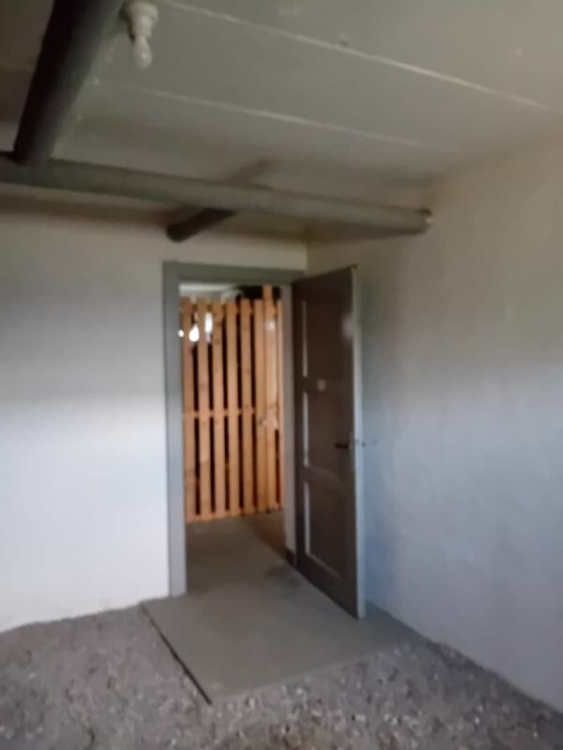 Ob Atelier, Werkstatt, Kellerabteil oder Lagerraum, greifen Sie zu! (2)