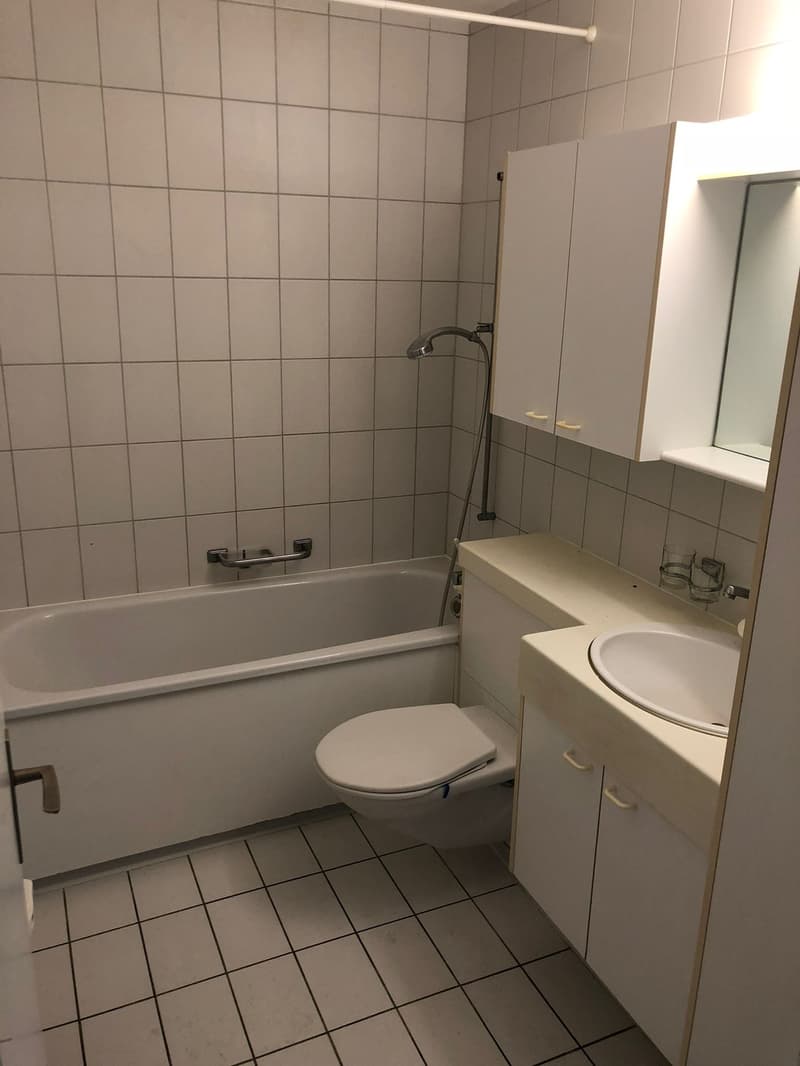 Schöne 2 ZWHG in Familienfreundlicher Überbauung (6)