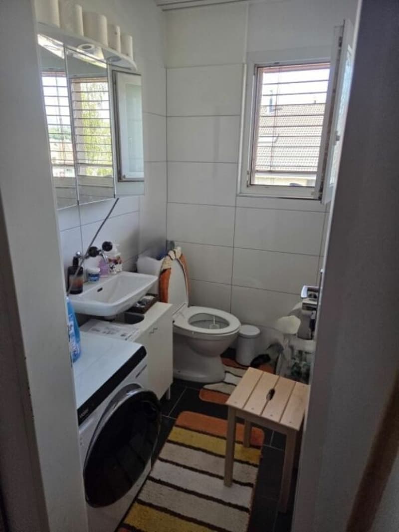 3.5 Zi-Dachwohnung, Lift, top Aussicht (3)