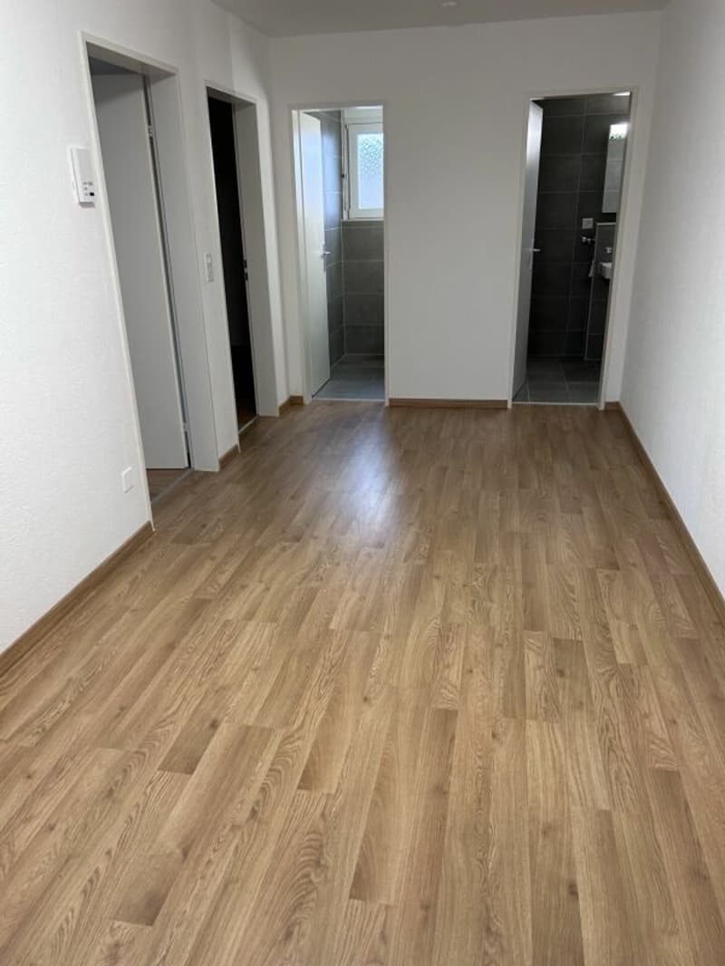 3.5 Zi-Dachwohnung, Lift, top Aussicht (5)