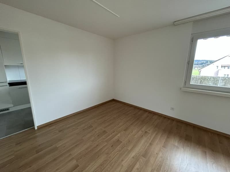 3.5 Zi-Dachwohnung, Lift, top Aussicht (6)