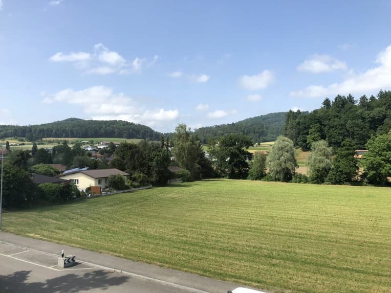 3.5 Zi-Dachwohnung, Lift, top Aussicht (17)