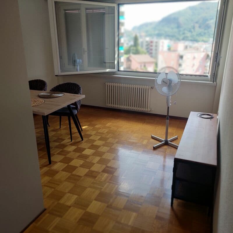 luminoso appartamento parzialmente ammobiliato di 3 locali (2042) 4. piano (15)