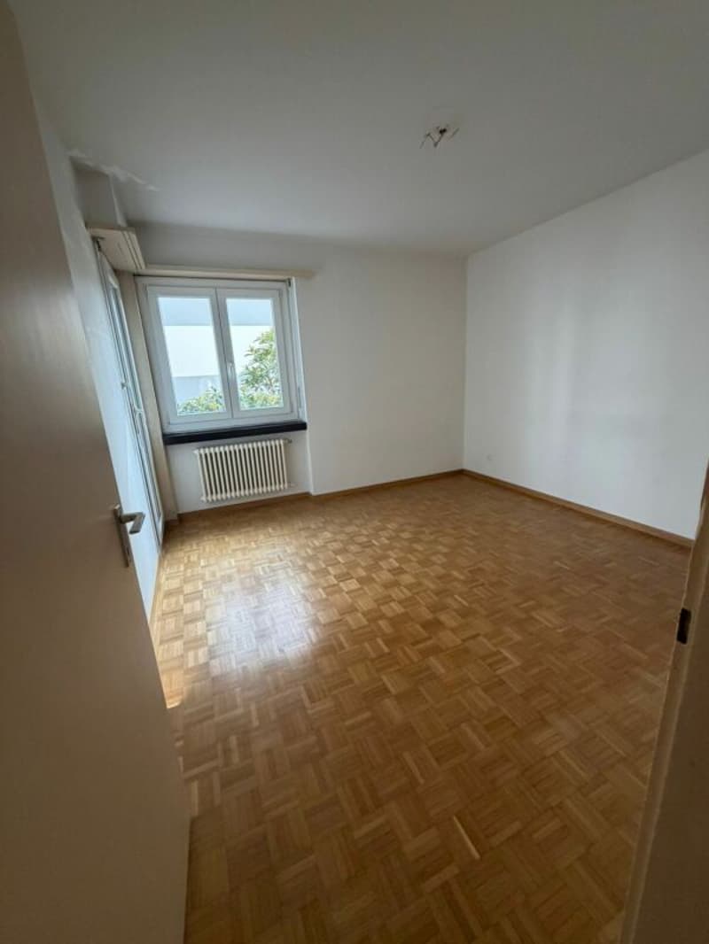 Moderno 2,5 locali a Massagno - moderne 2,5 Zimmerwohnung in Massagno (4)