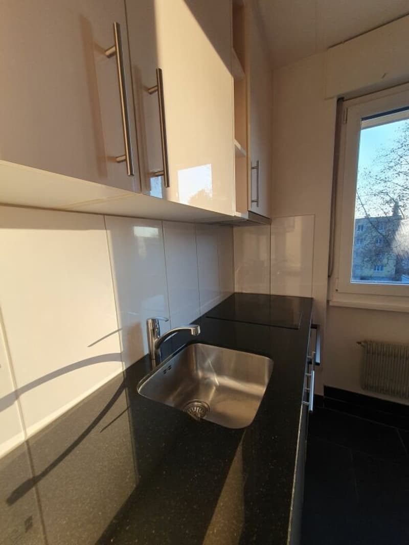 tolle 2.5 Zimmer Wohnung in Langenthal (3)