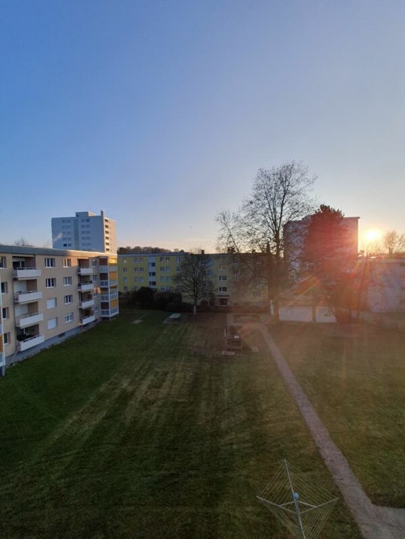 tolle 2.5 Zimmer Wohnung in Langenthal (14)