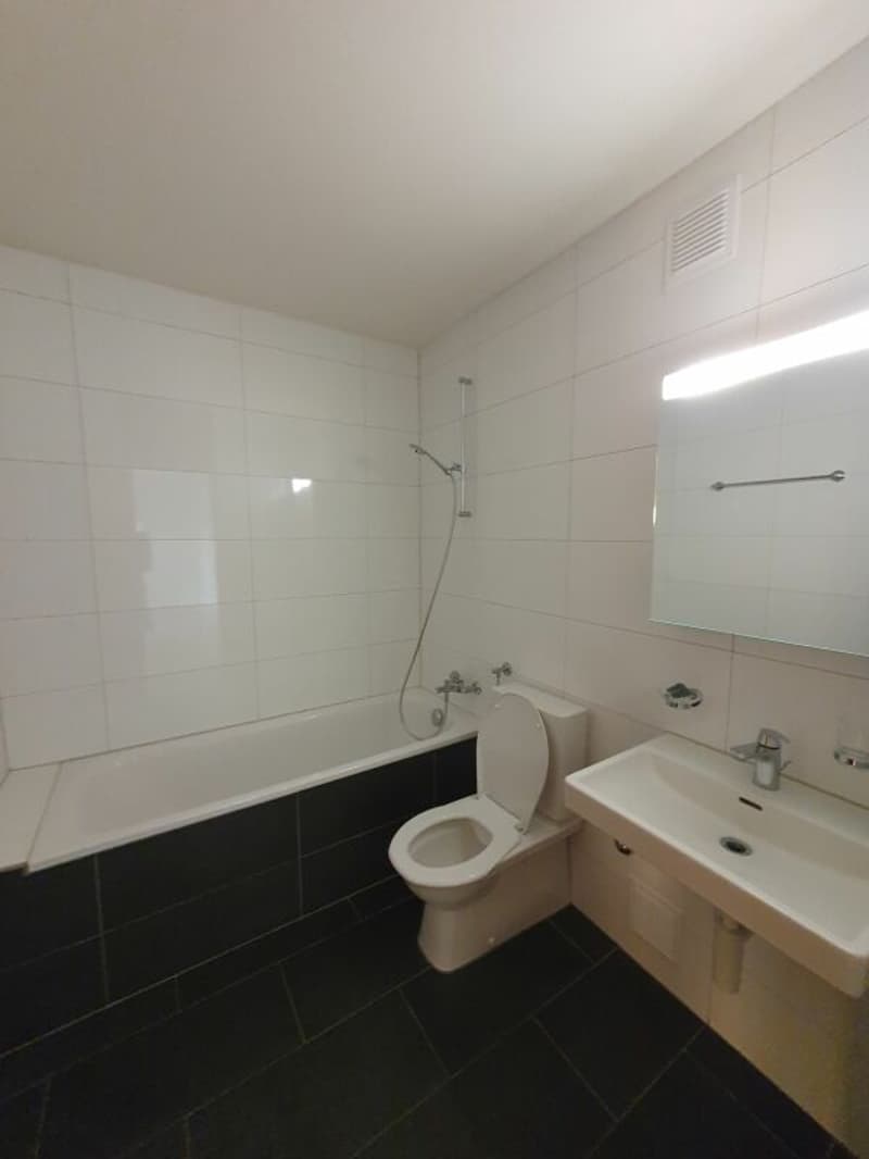 tolle 2.5 Zimmer Wohnung in Langenthal (4)