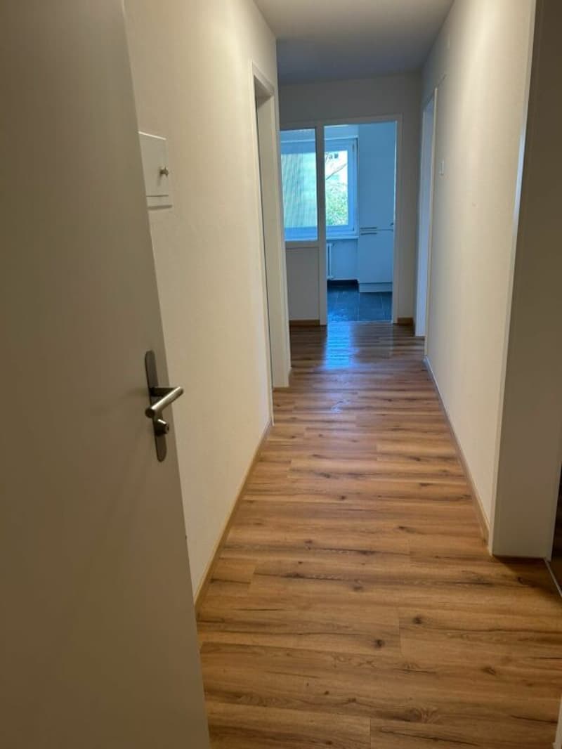 NEU sanierte 2.5 Zimmerwohnung in Trimbach (8)