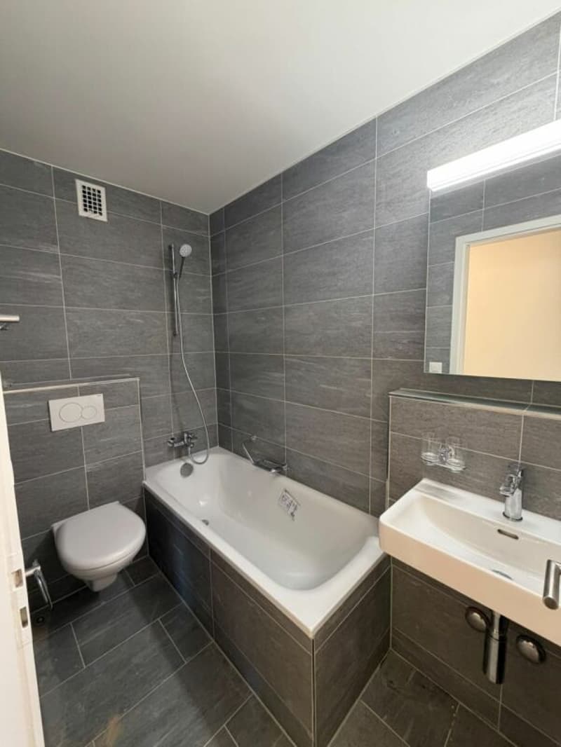 NEU sanierte 2.5 Zimmerwohnung in Trimbach (4)