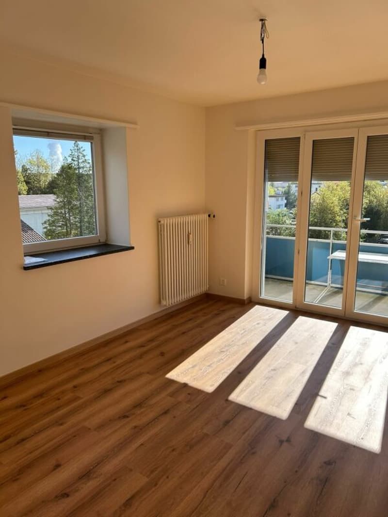 NEU sanierte 2.5 Zimmerwohnung in Trimbach (2)