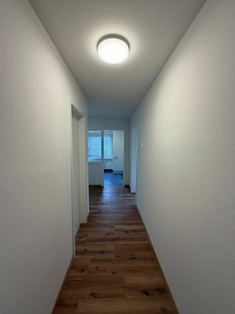NEU sanierte 2.5 Zimmerwohnung in Trimbach (7)