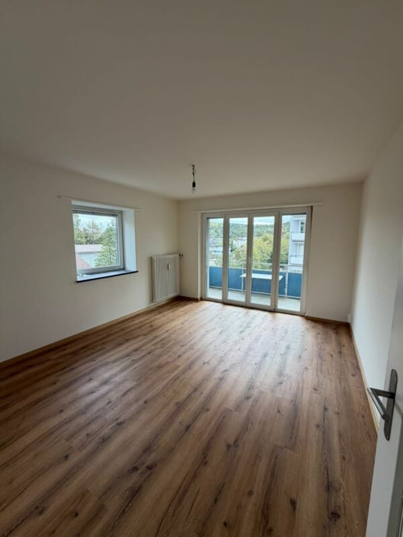 NEU sanierte 2.5 Zimmerwohnung in Trimbach (1)