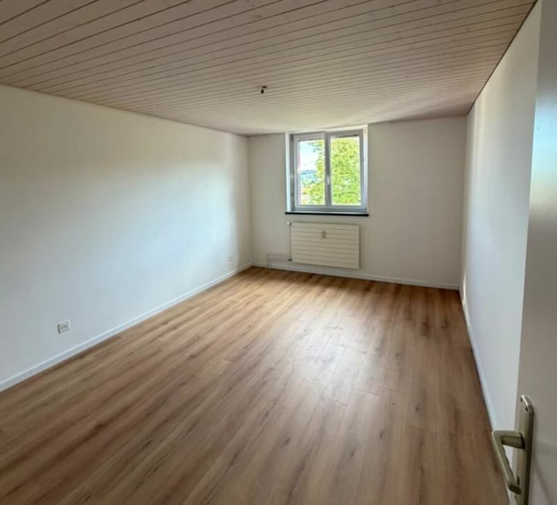 Wohnung im schönen "Breite-Quartier" (10)