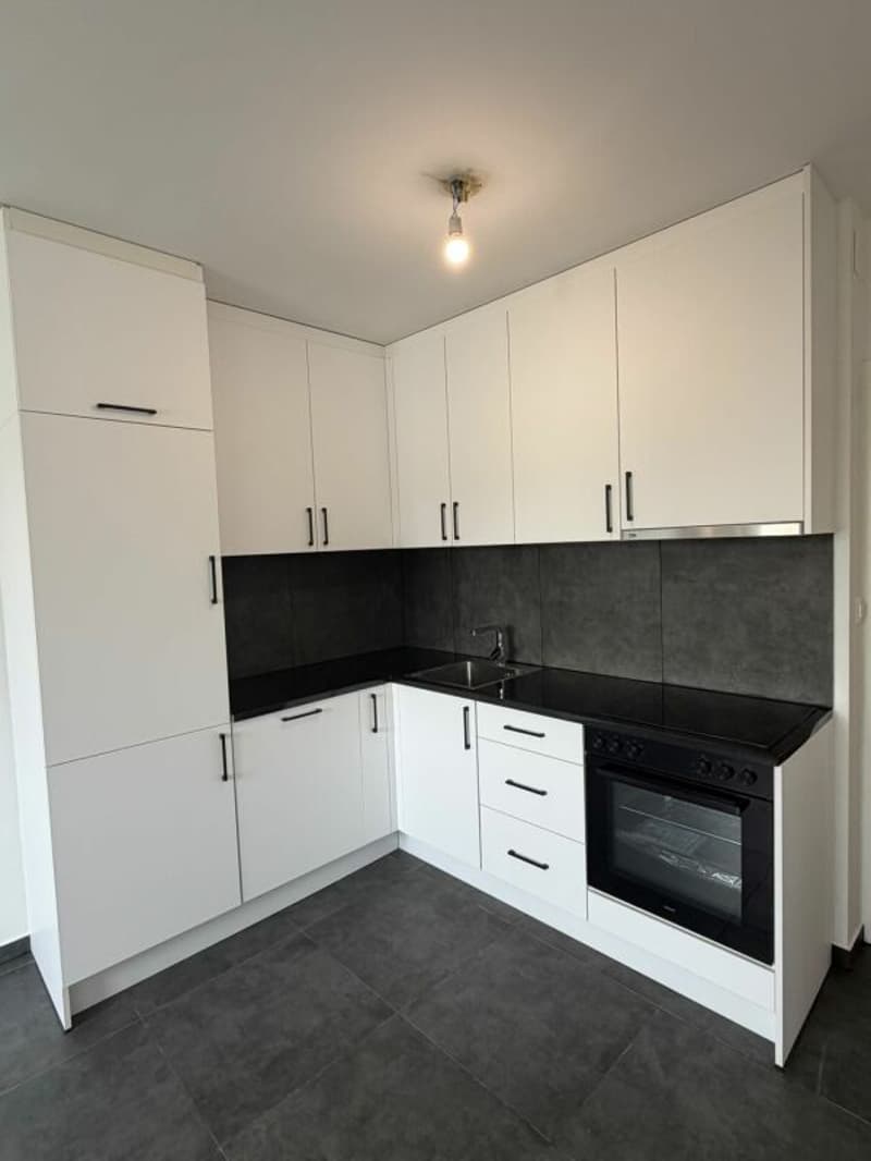 Appartamento di 3,5 locali (App. 1033/12) Balerna (3)