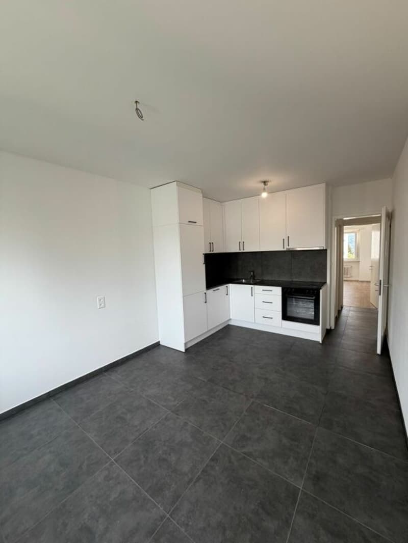 Appartamento di 3,5 locali (App. 1033/12) Balerna (4)