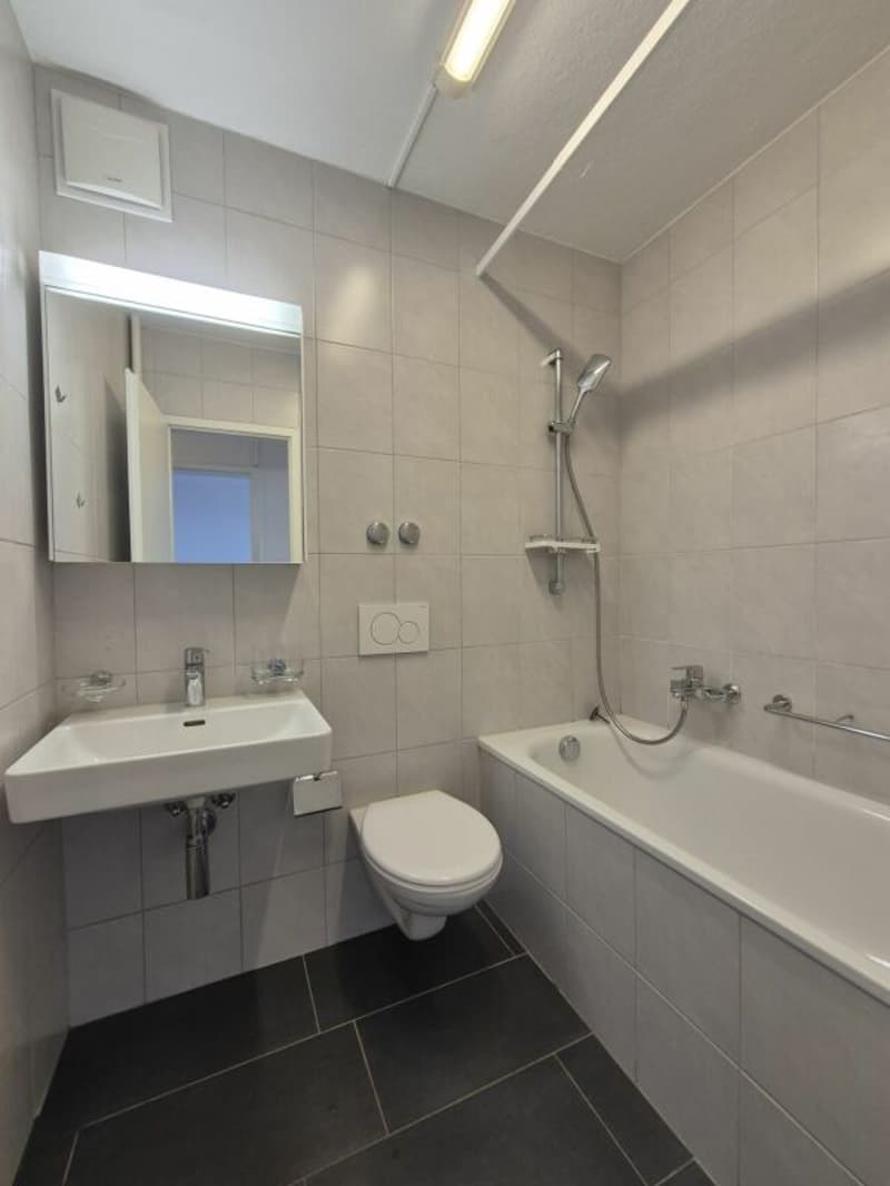 2.5-Zimmer Wohnung mit Terrasse (7)