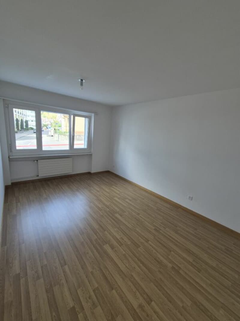 2.5-Zimmer Wohnung mit Terrasse (6)