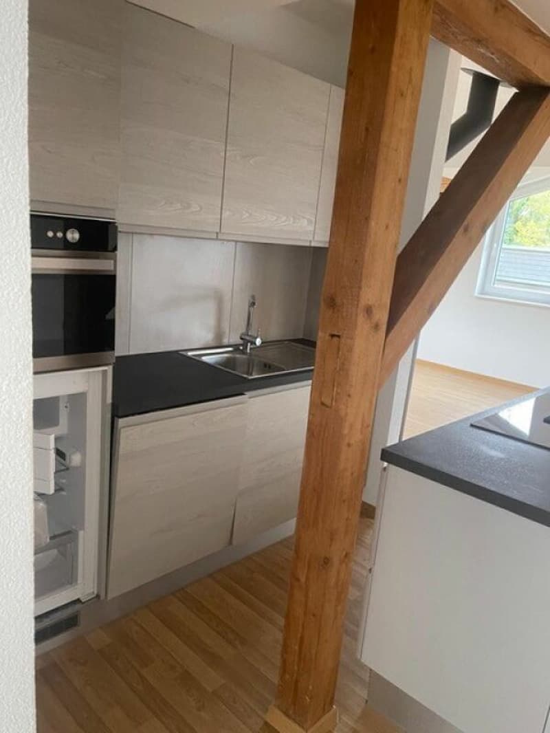 Moderne und charmante Dachwohnung! (3)