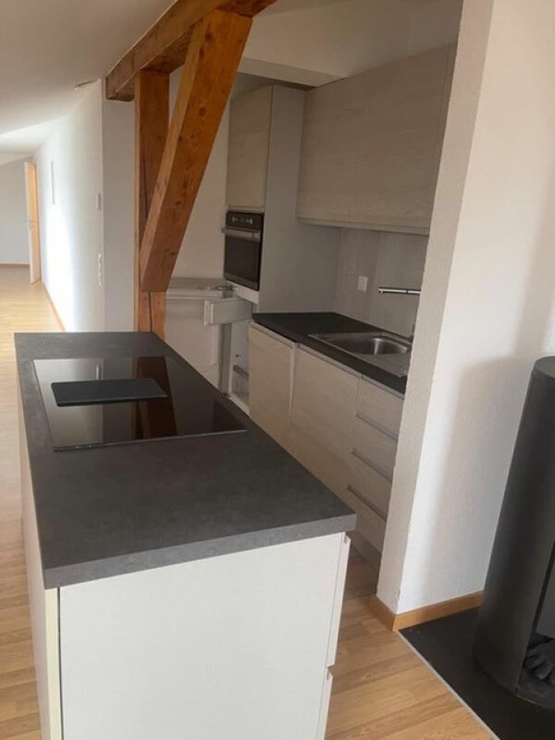 Moderne und charmante Dachwohnung! (2)