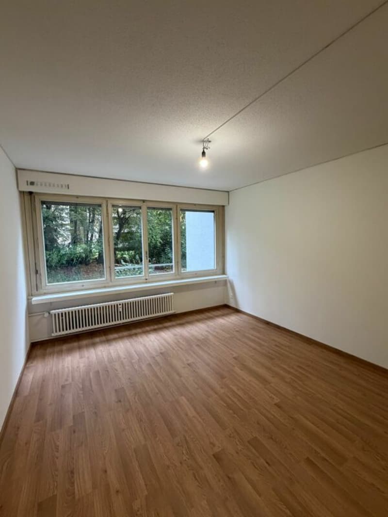 Grosse und moderne 2.5 Zimmerwohnung jetzt zu vermieten! (3)
