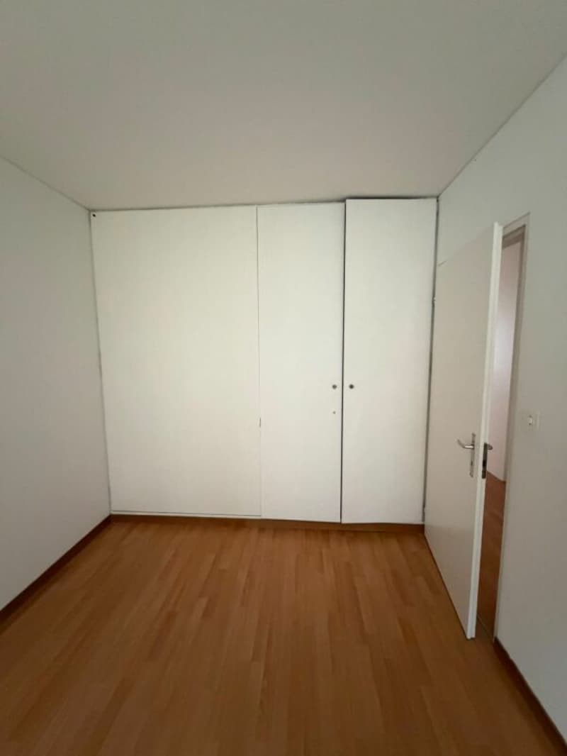 Wunderschöne 3,5-Zimmer-Wohnung ab sofort zu vermieten! (7)