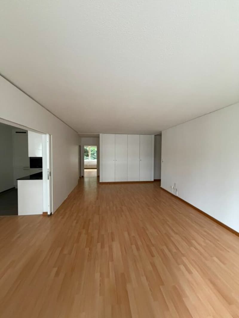 Wunderschöne 3,5-Zimmer-Wohnung ab sofort zu vermieten! (3)